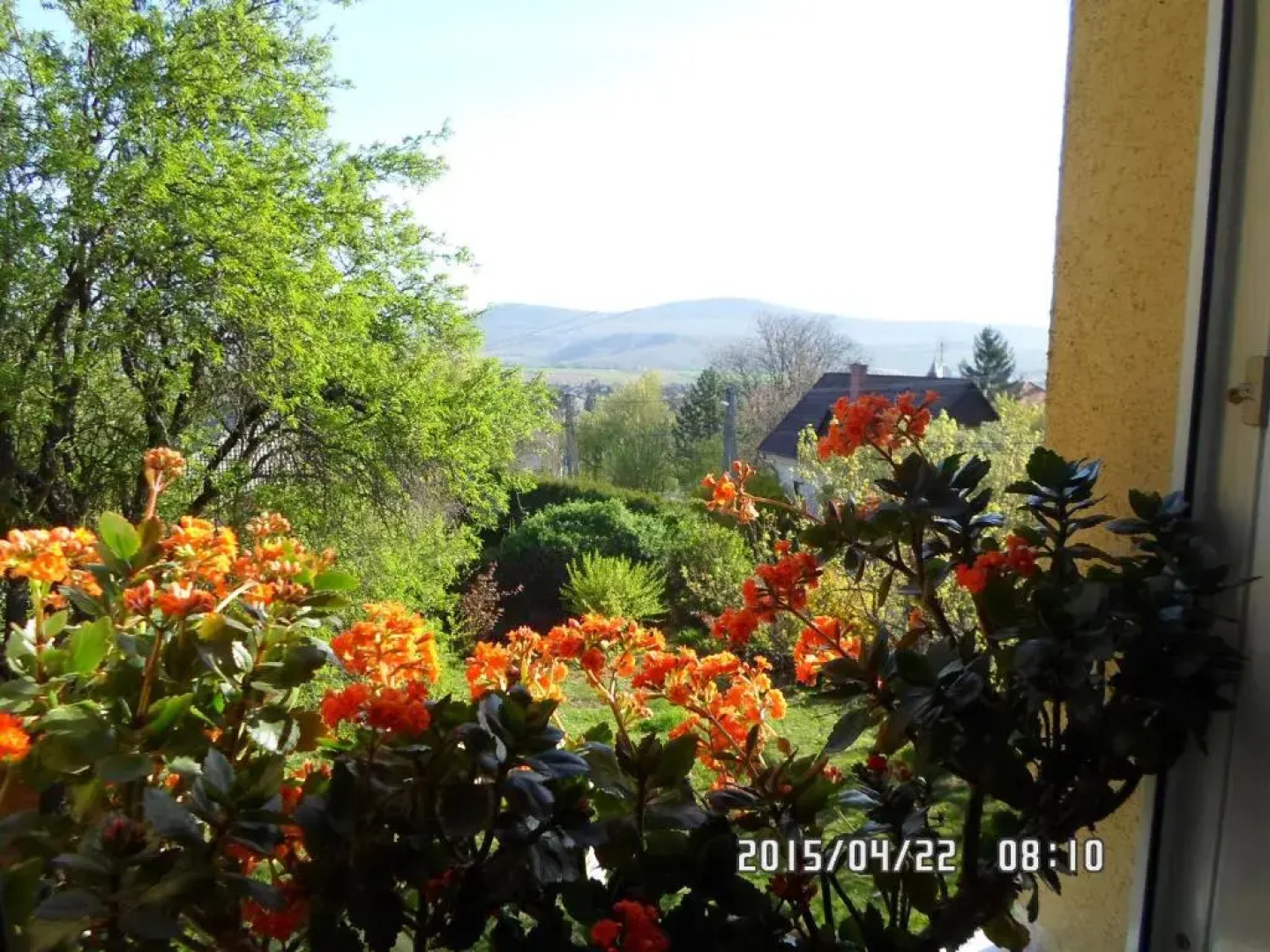 Room close to Budapest