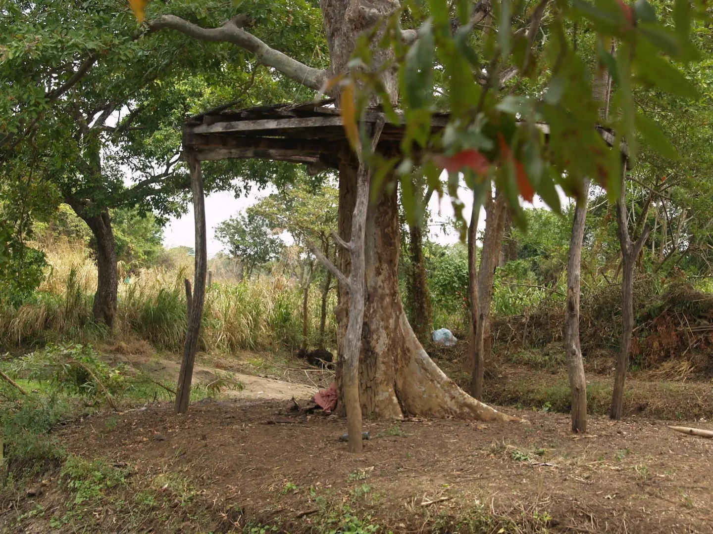 Welimaluwa Resort