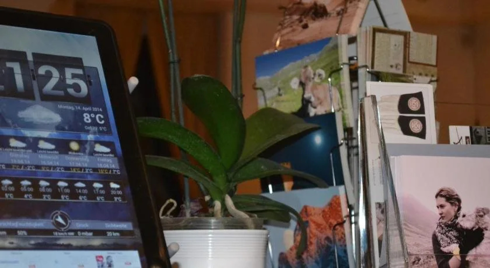 Schorta's Hotel Alvetern