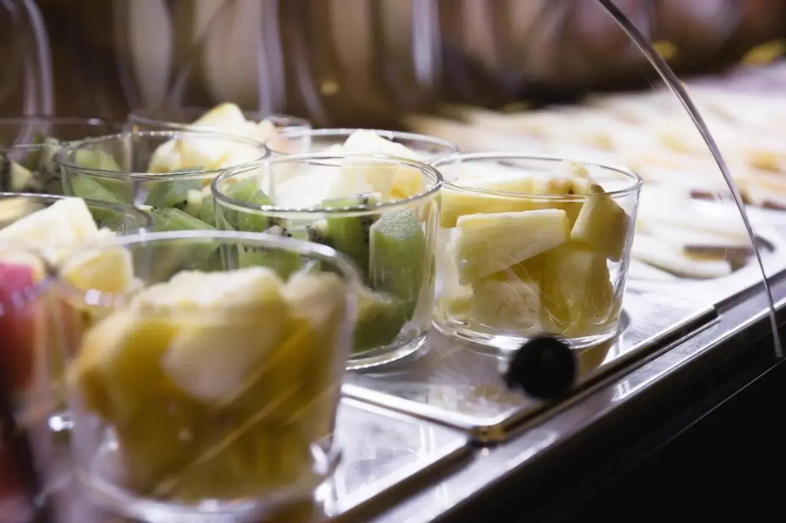 Hotel Veracruz Plaza & Spa