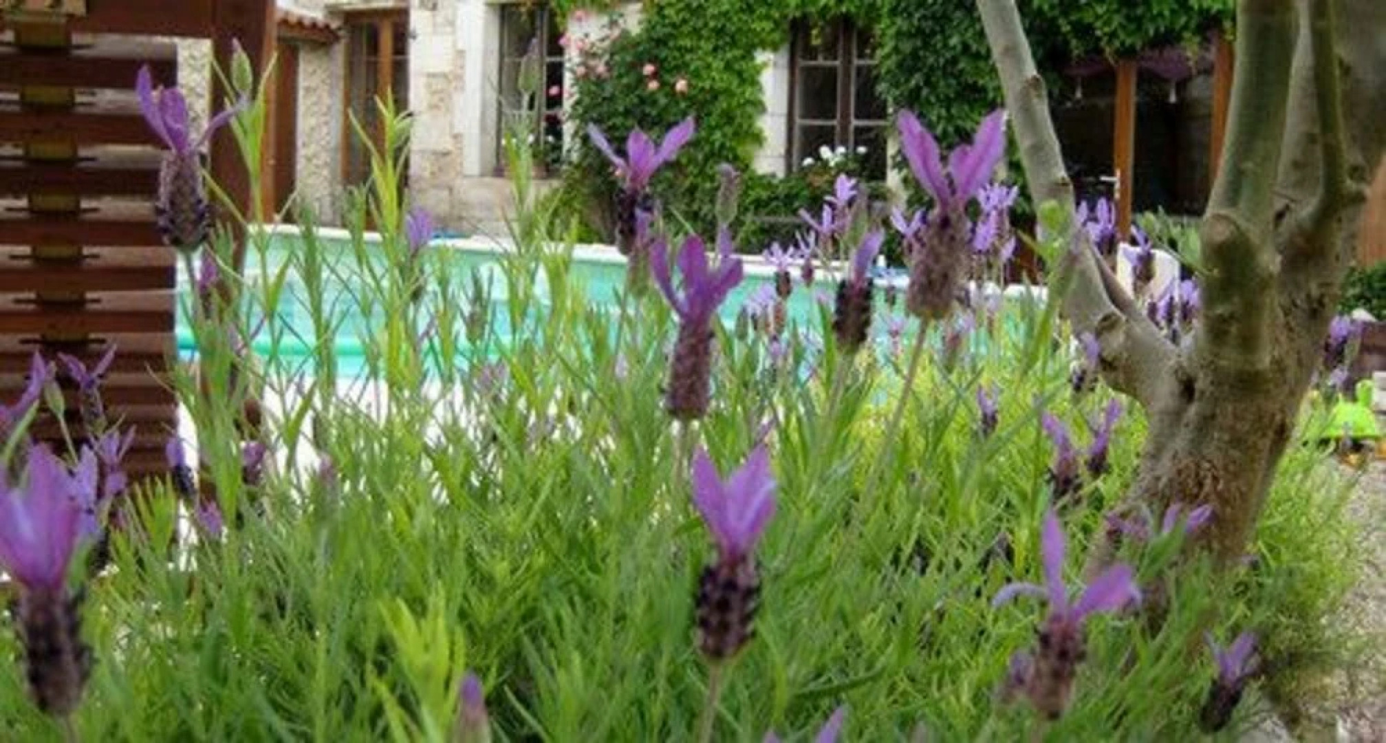 Rouge Boutique hotel - appartements