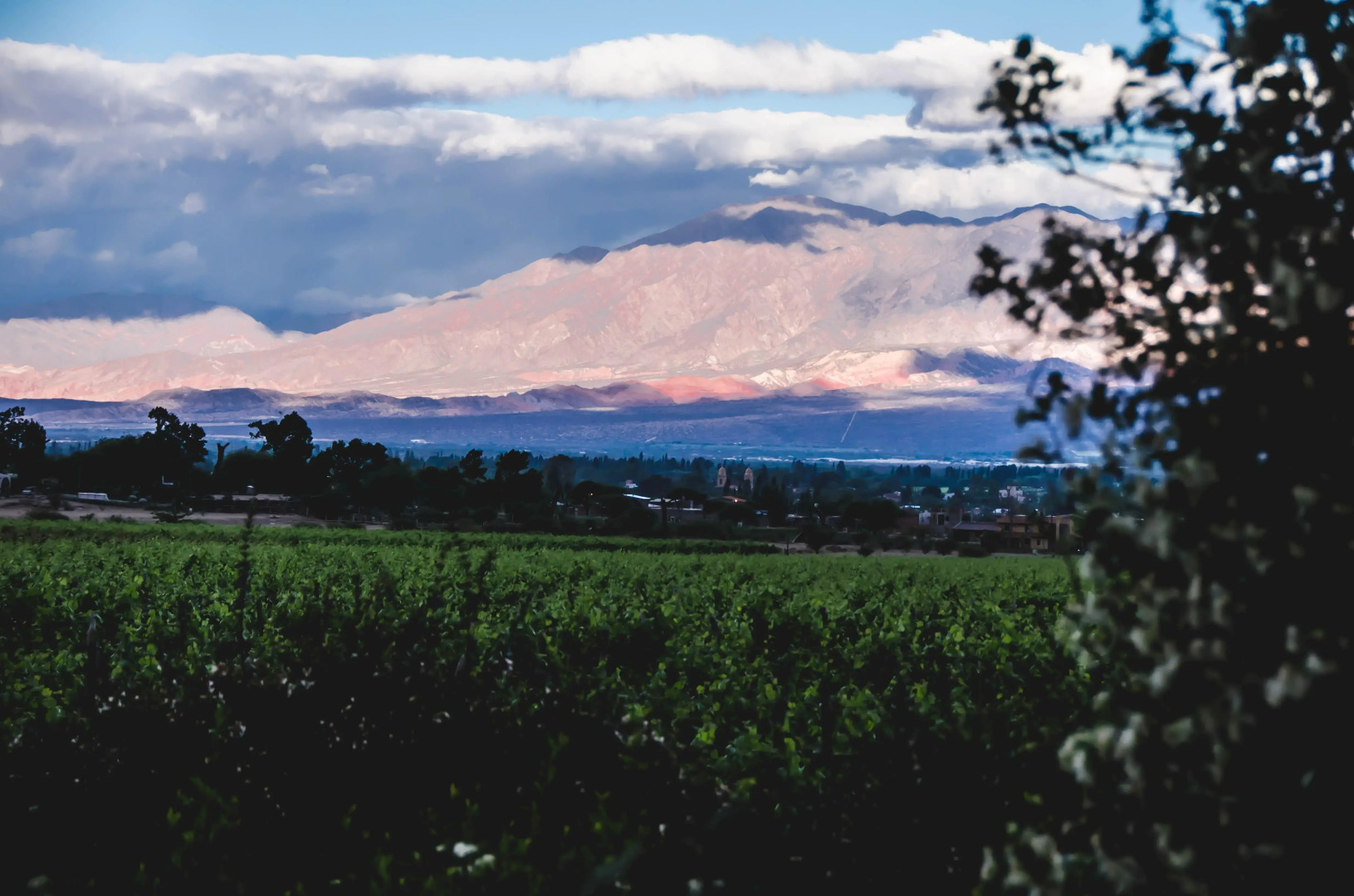 Viñas De Cafayate Wine Resort
