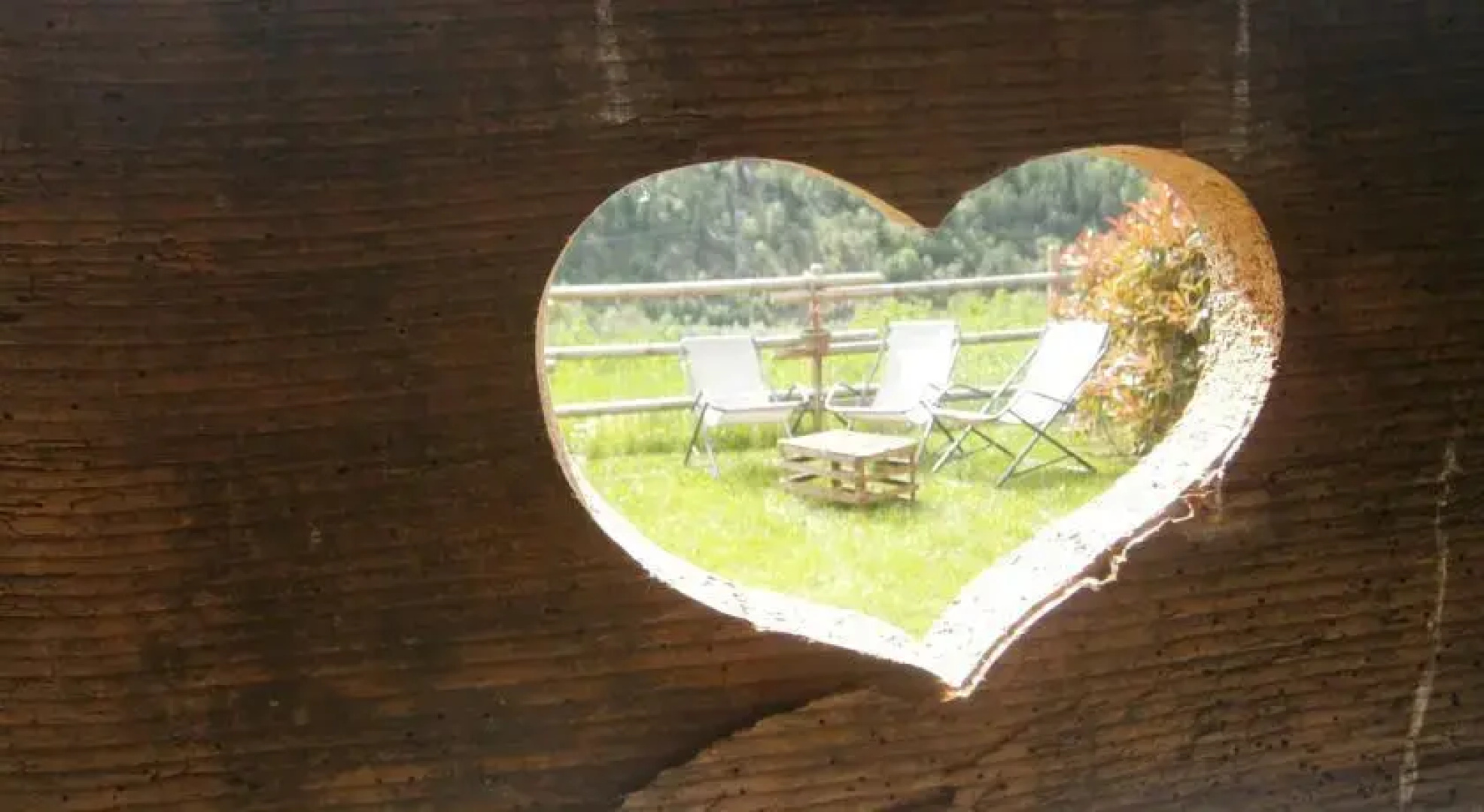 B&B Il Canto del Bosco