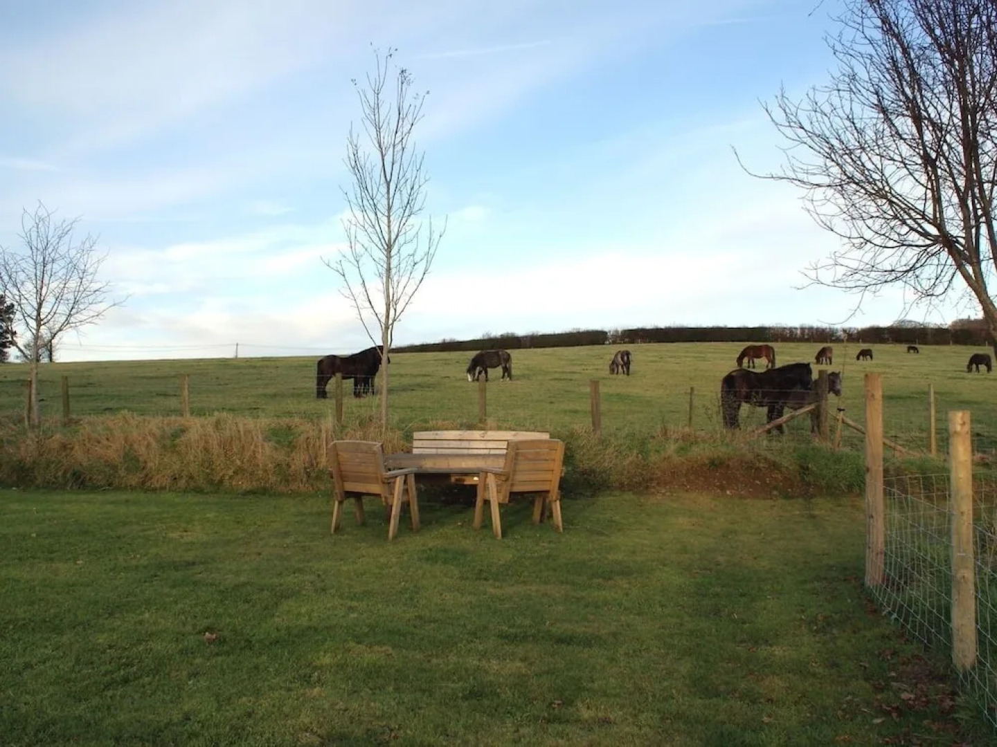 The Stone Barn Cottage