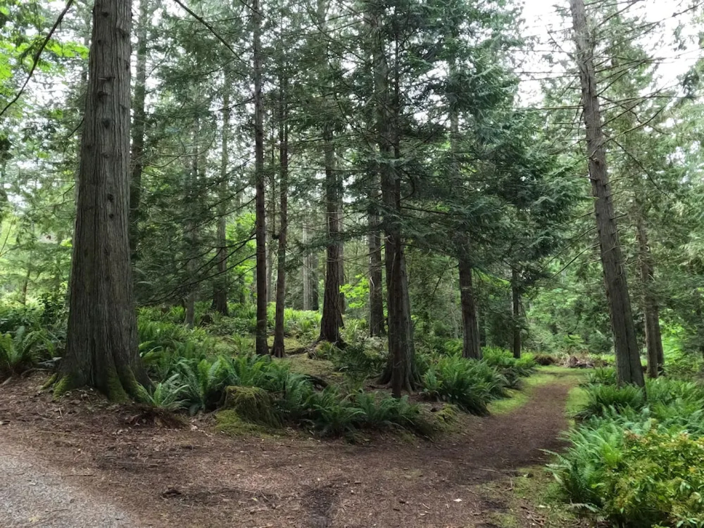 Sea La Vie Rare Peaceful Hidden Gem