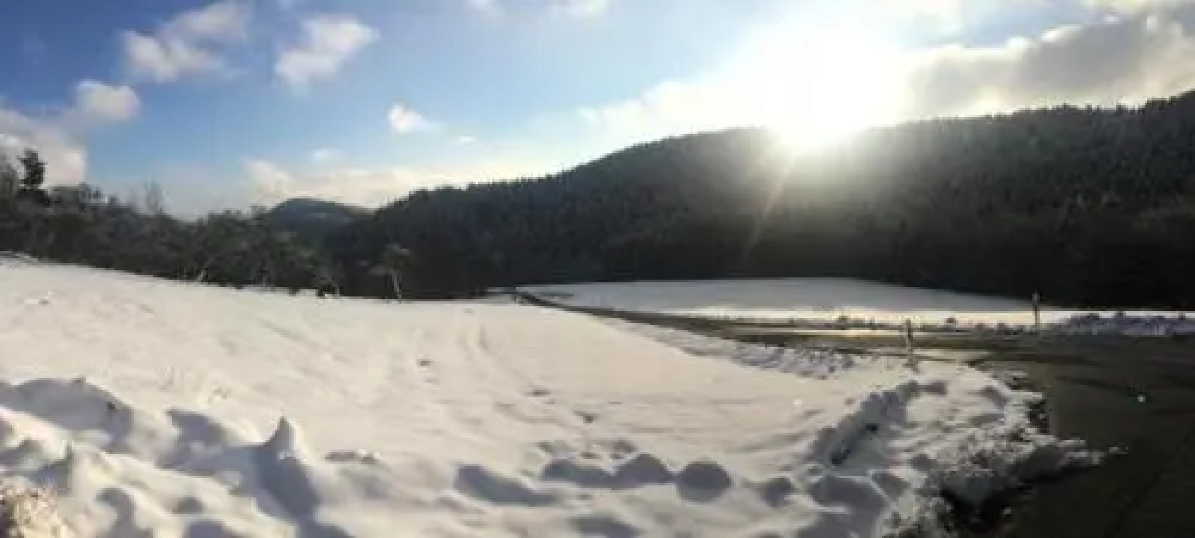 Ferienwohnung Wildenreuth