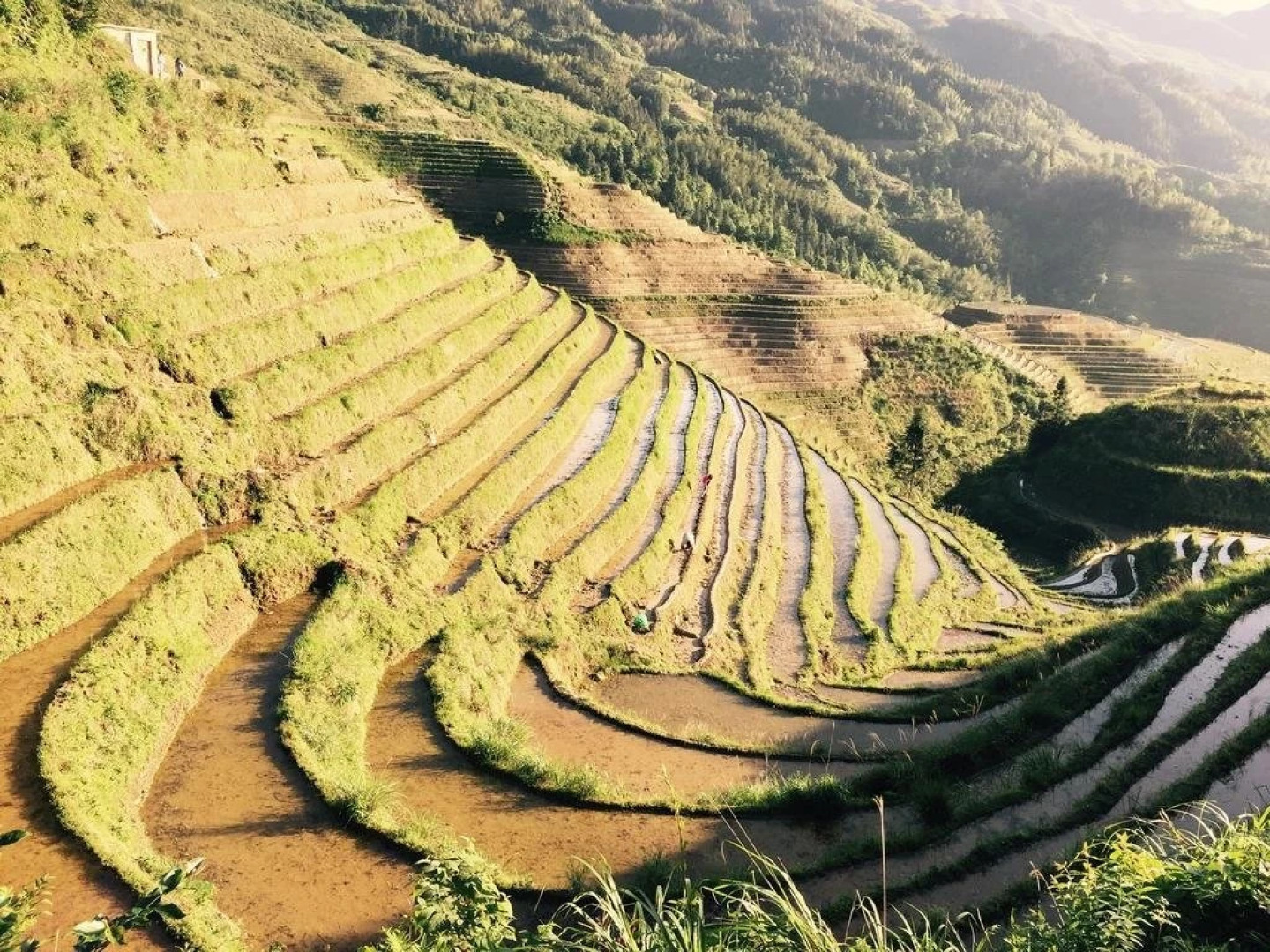 Longsheng Jintian Inn