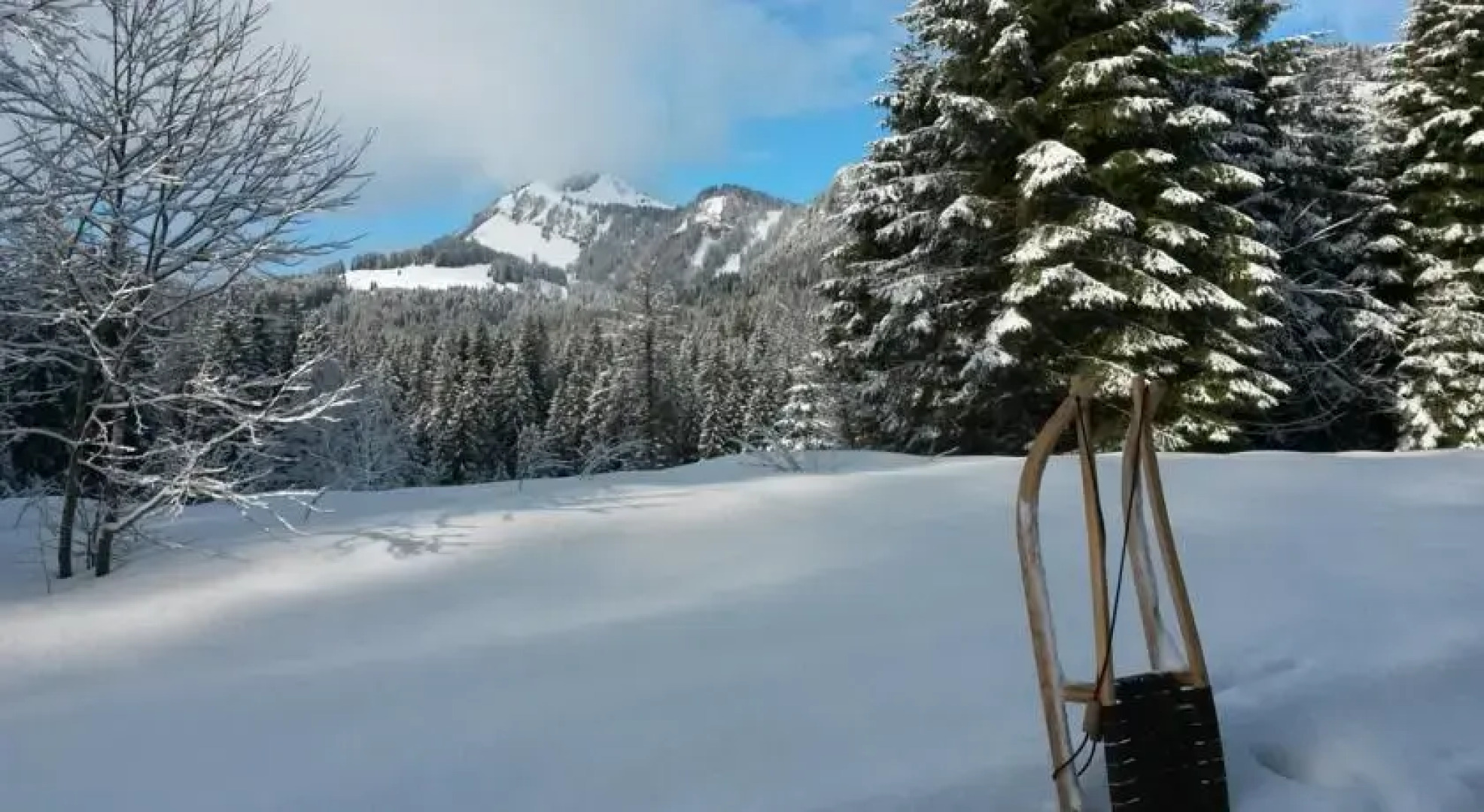 Bergwaldhaus Dreiangel