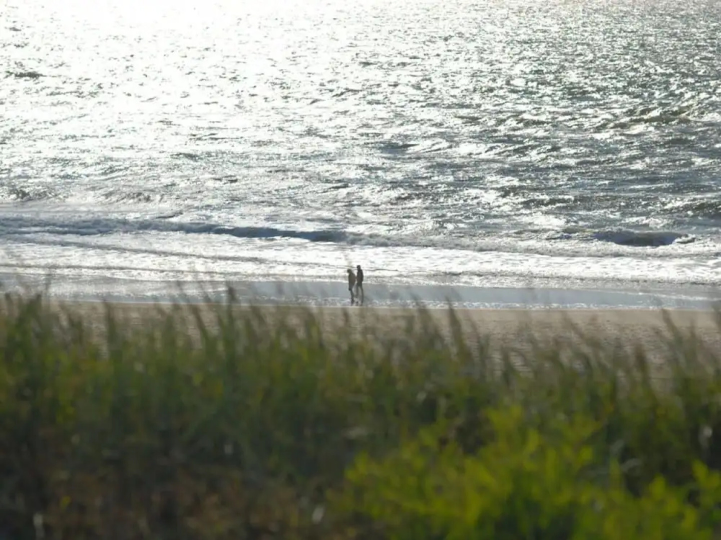 D Wilting in the House