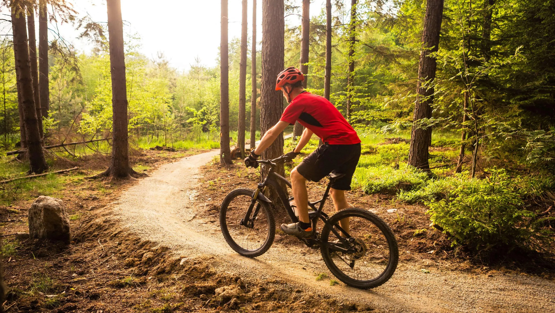 FairBridge Hotel & Conference Center Somerset