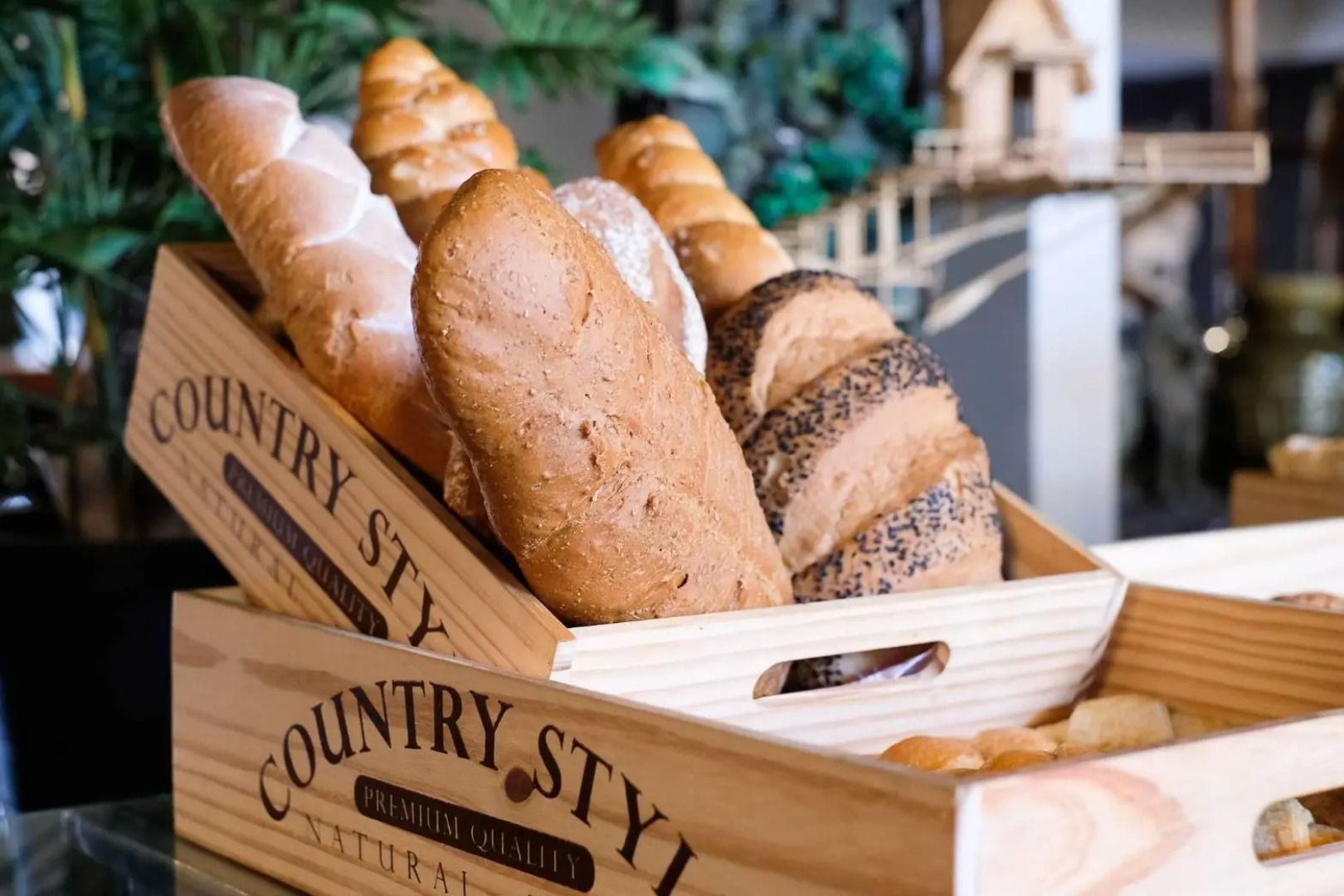 Basaya Beach Hotel & Resort