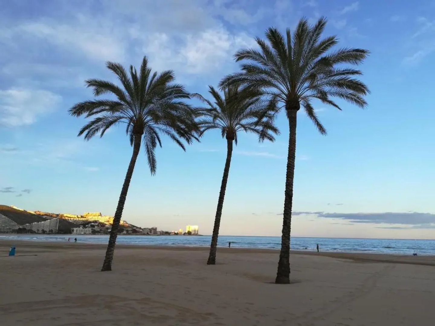 Apartamento Florazar 2, 8ºC