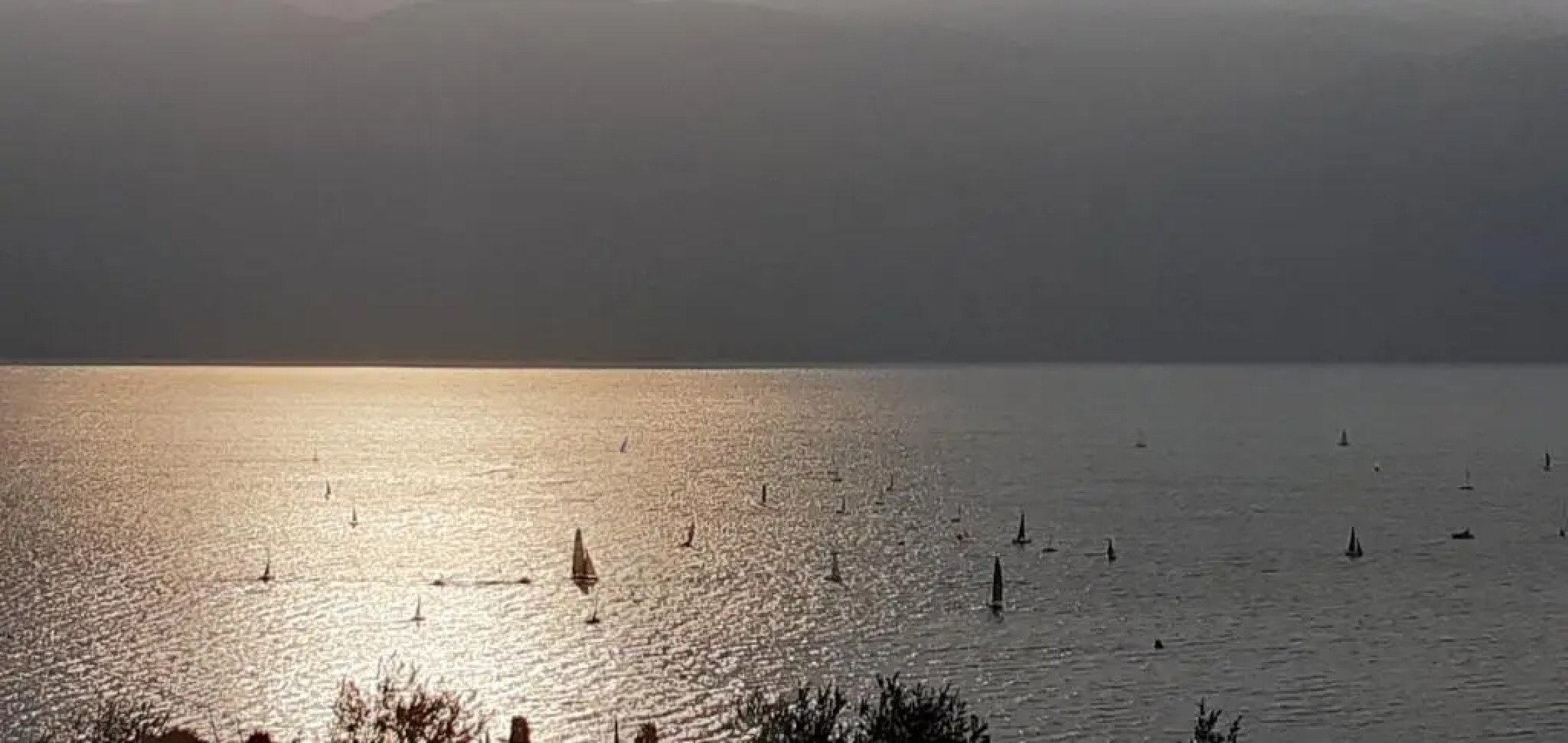 Agriturismo l'Uliveto di Bertoli Marco