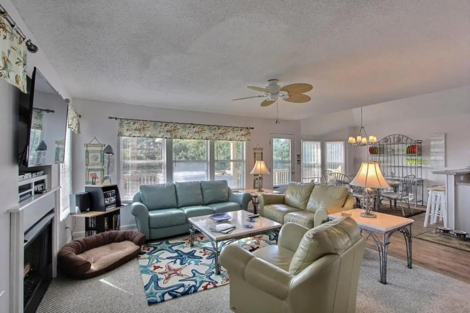 4040 - Paws at the Beach