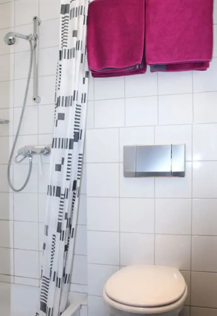 Riesling Apartment on the Moselle Terrace