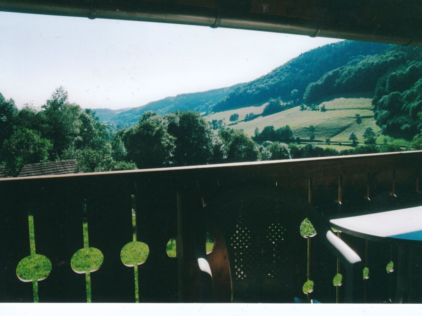 Spacious Apartment near Forest in Oberprechtal