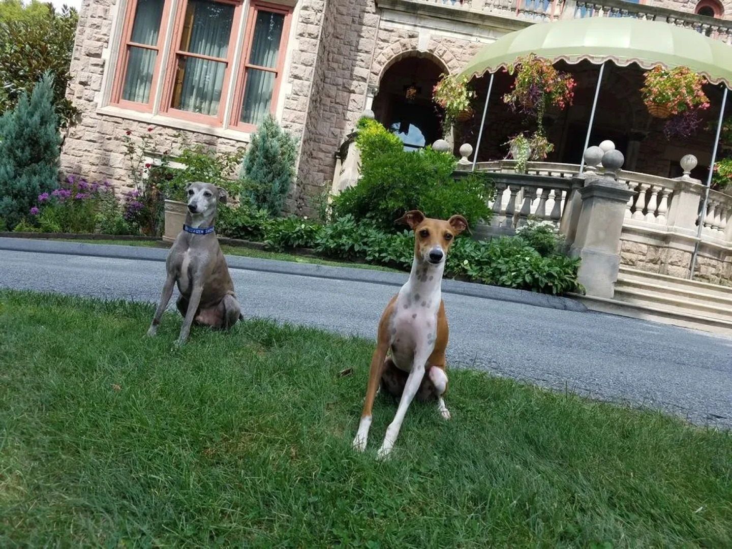 The Gables at Stirling Guest Hotel