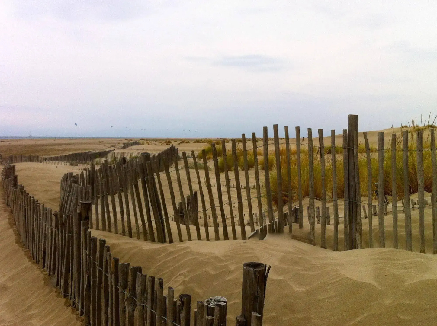 Amerique Hotel Palavas Plage