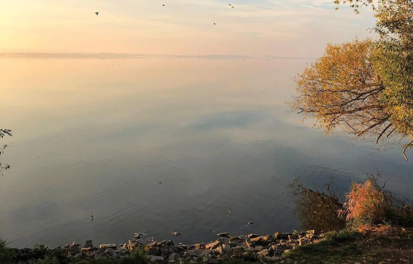 Amazing Apartment in Lembruch/dümmer See With 1 Bedrooms, Wifi and Indoor Swimming Pool