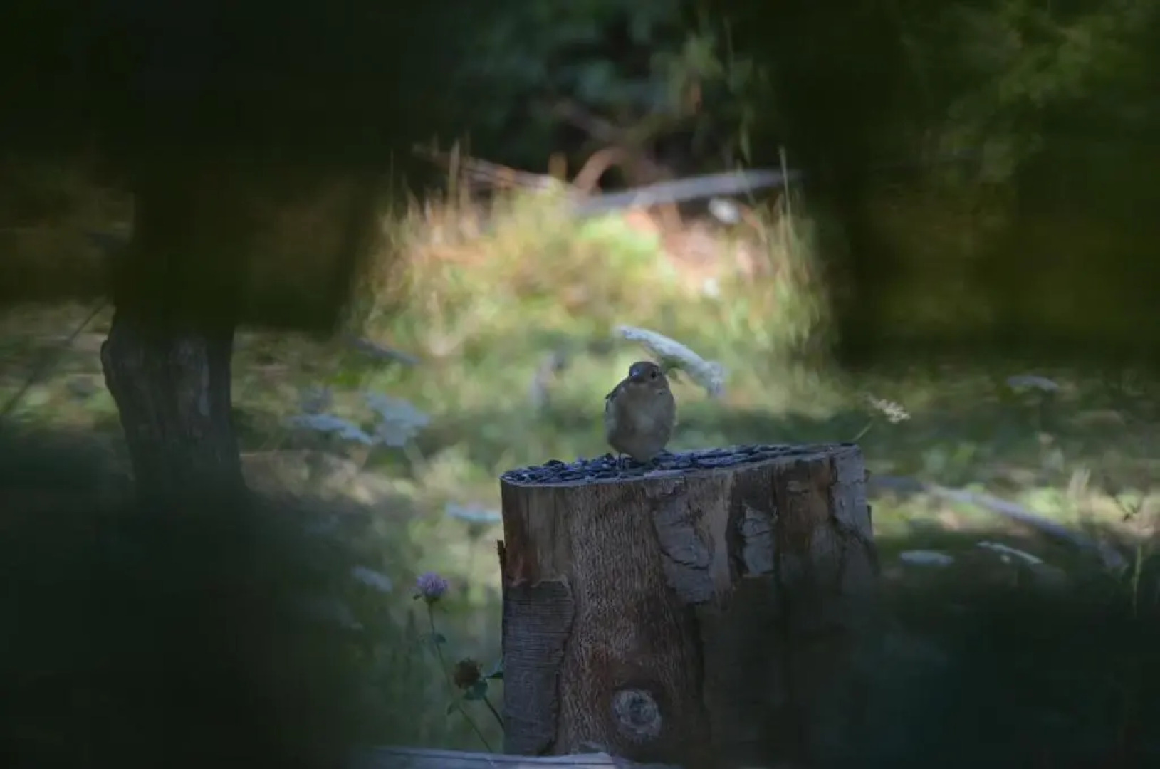 Apartamento Molí de Fòrnols