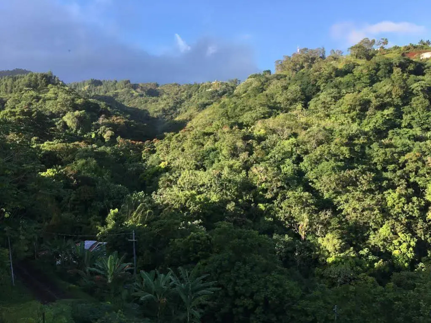 Fare Arearea Sweet Studio