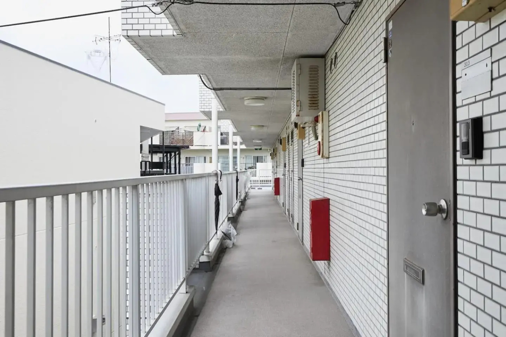 Sun white Gyoutoku 202