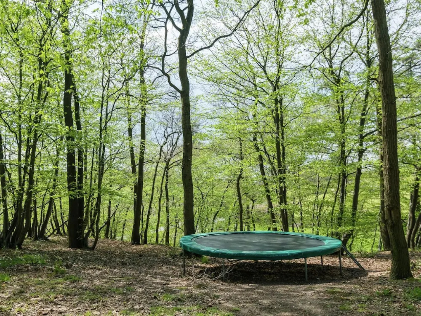 Nice House with Sauna, Fireplace, & Large Garden near Aubel