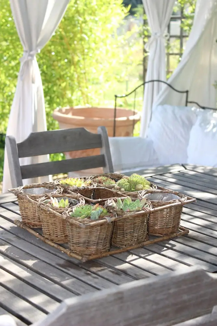 Chez elles en Provence