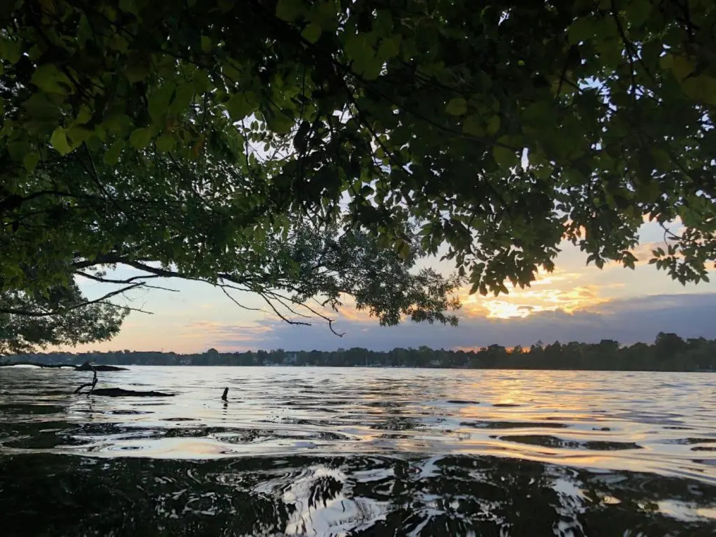 Lakeview Appartements