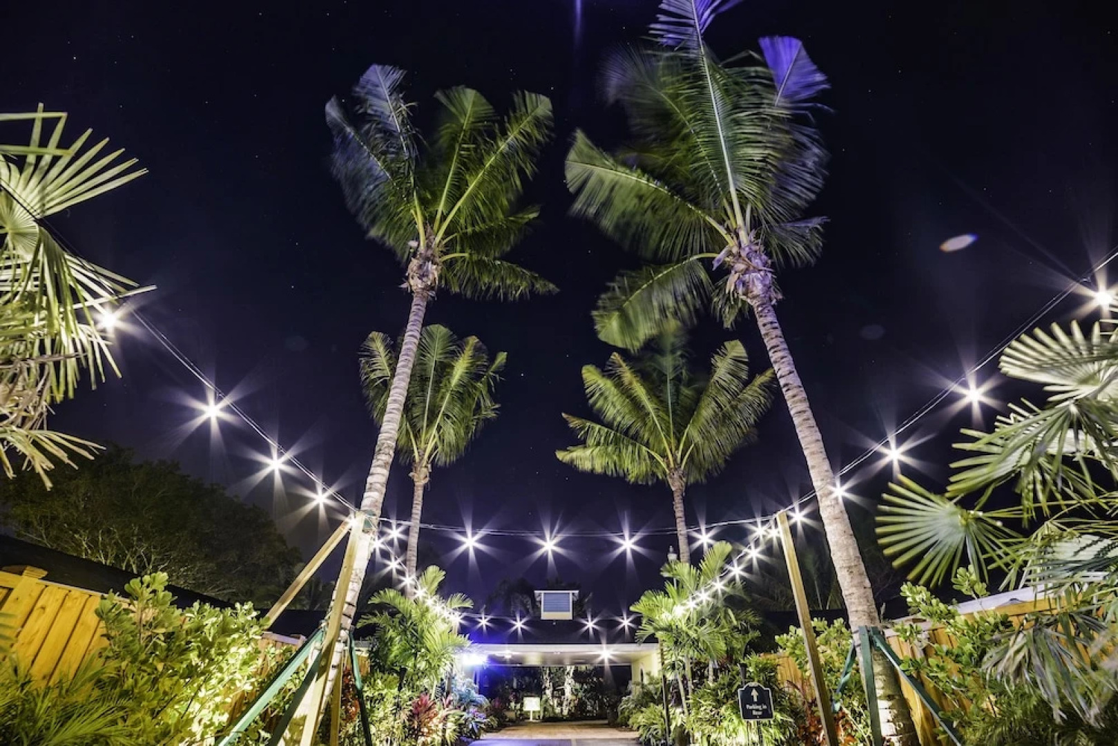 The Elephant Ear Cabanas
