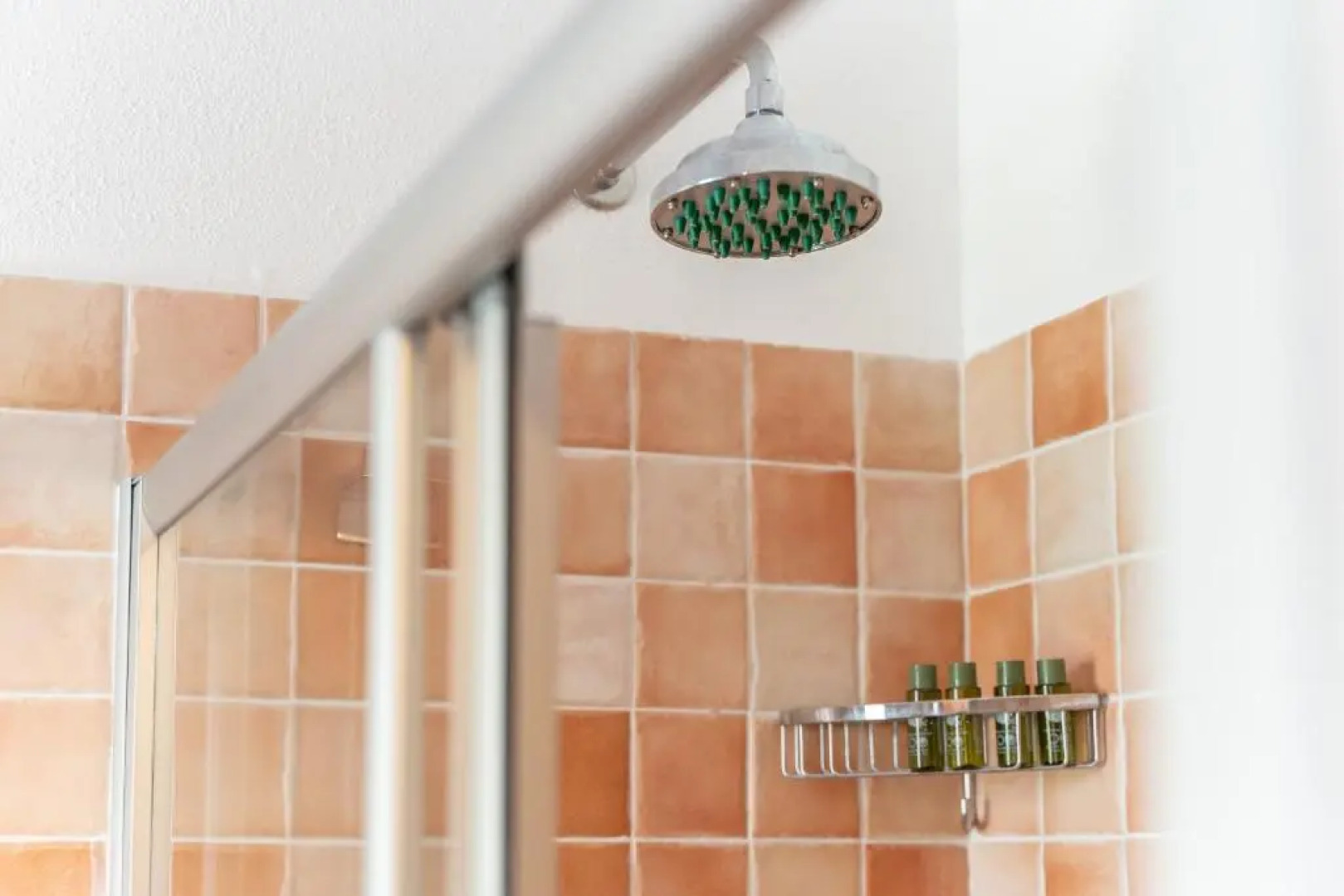 Welcomely - Dei Mille - La vigna 3