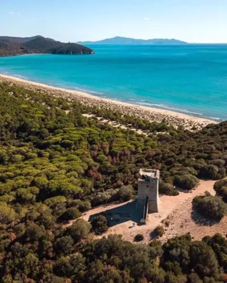 Fattoria il Duchesco