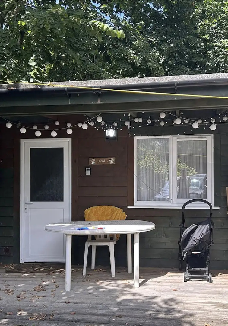 Reed By Paymán Club