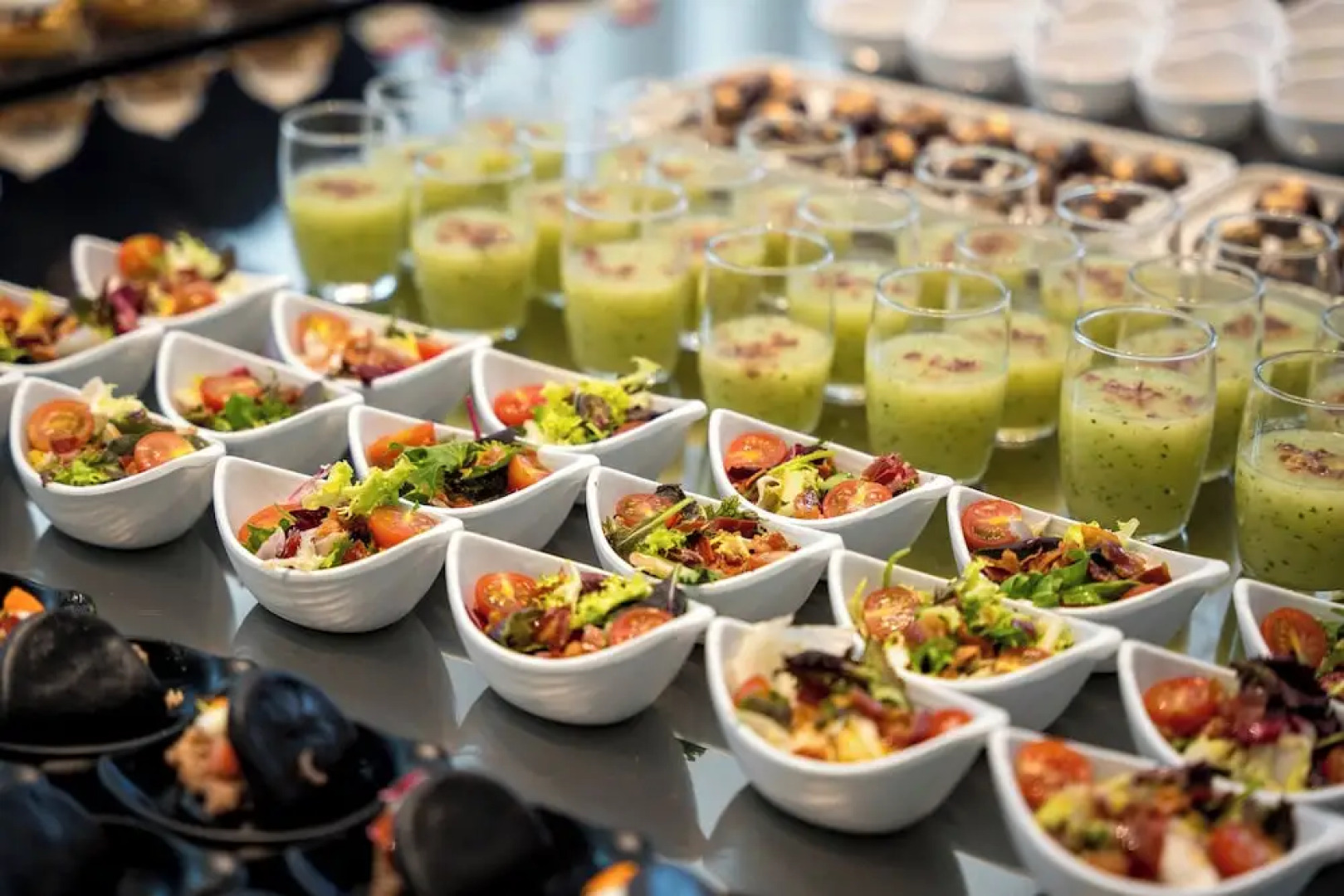 Hotel Balneari Termes Orion