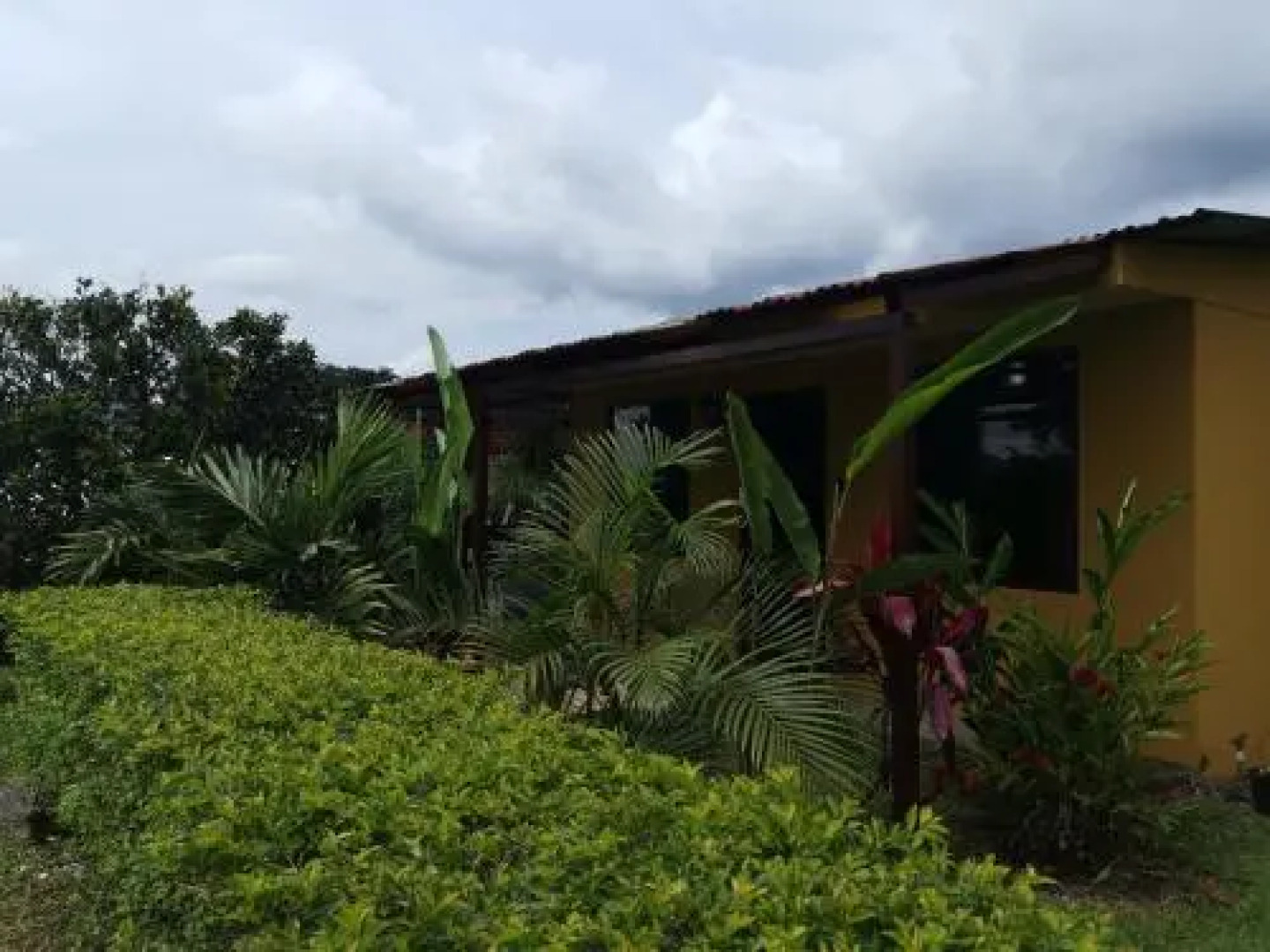 Tiny House Dreamcatcher