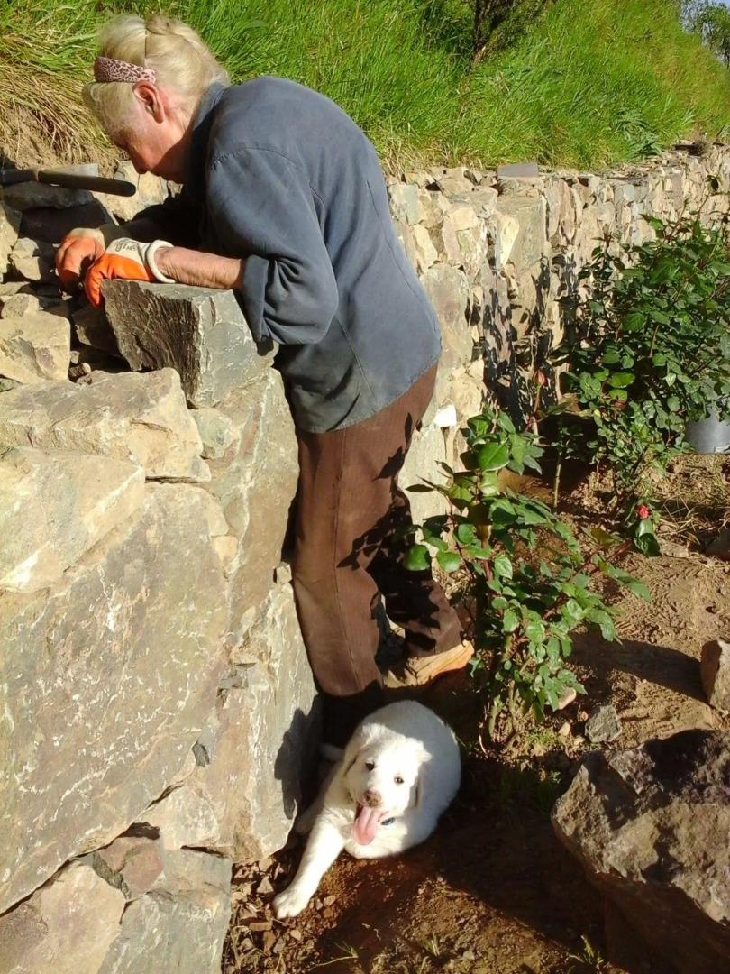 Appartamento e Camere Cerreta - Carro