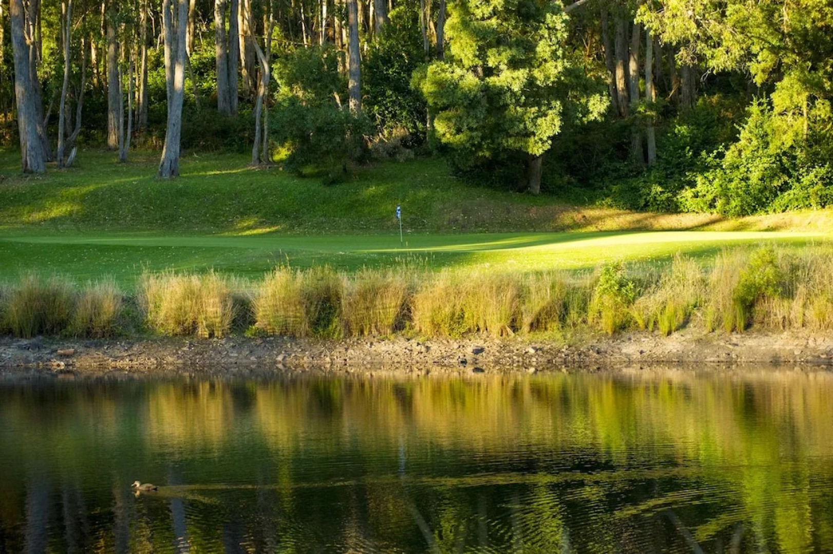 The Stirling Golf Club
