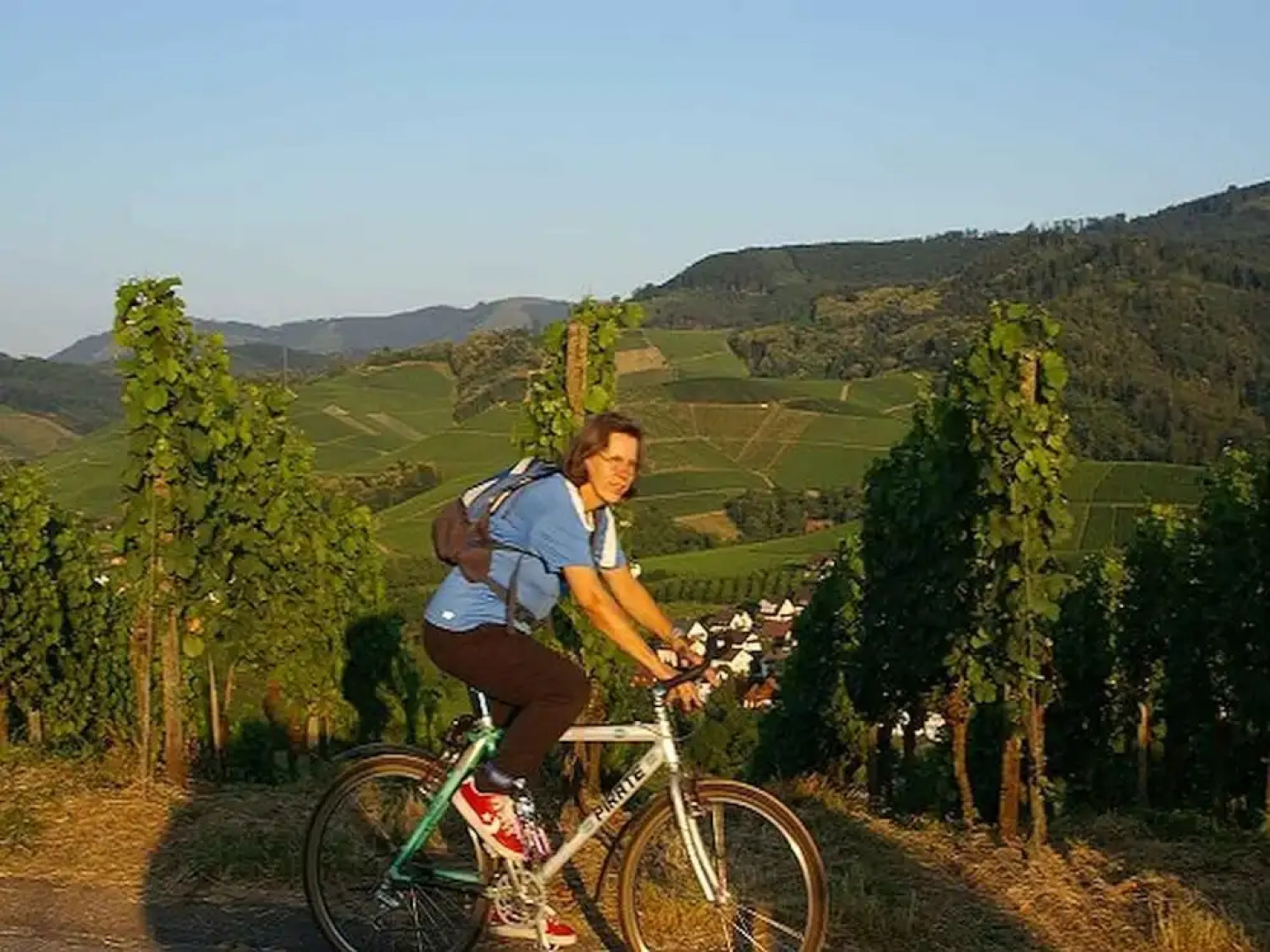 Gasthaus - Pension Hohberg