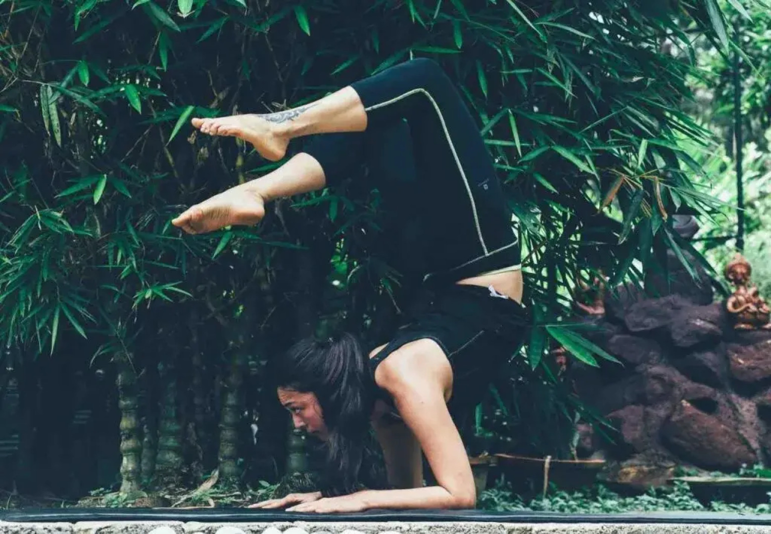 Hinterland Village Resort