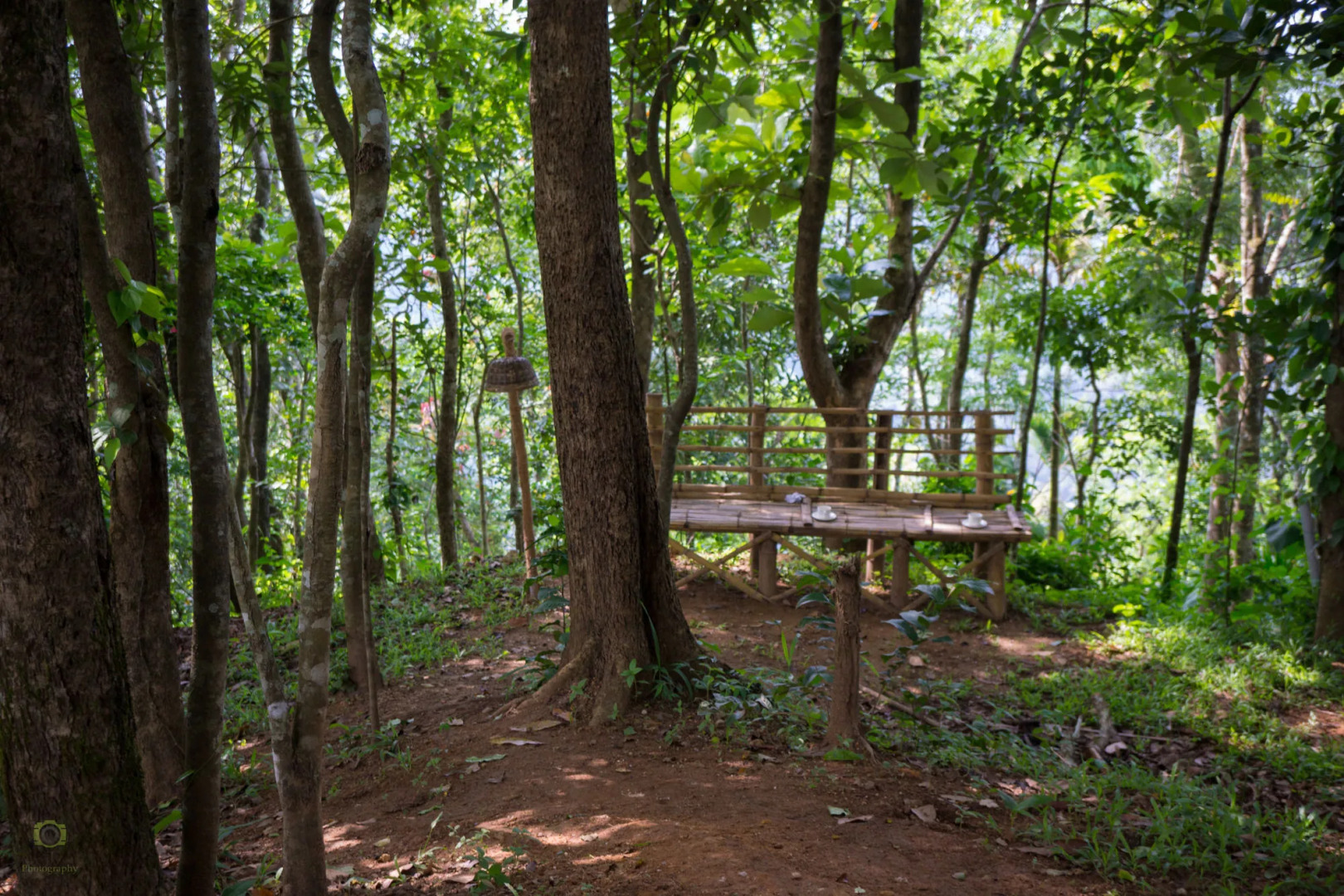 Season7 The Nature Resort - Munnar