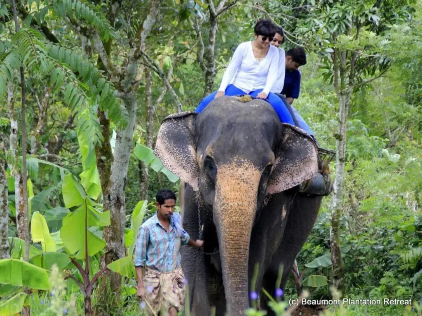 Beaumont Plantation Retreat