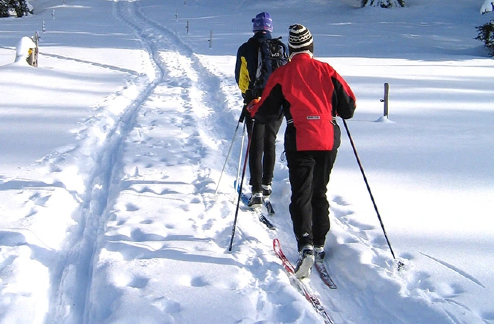Lesnaja skazka Sibiri