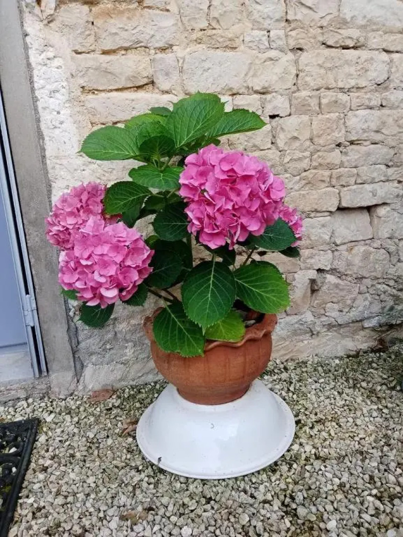 Bed and Breakfast Dunroamin