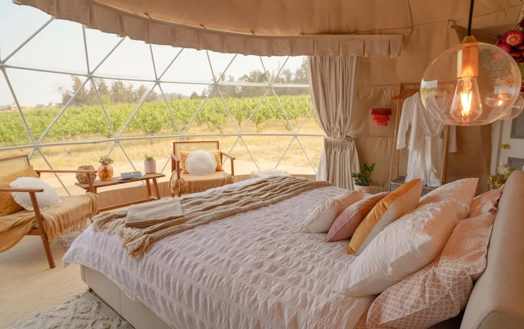 Domescapes in the Vines