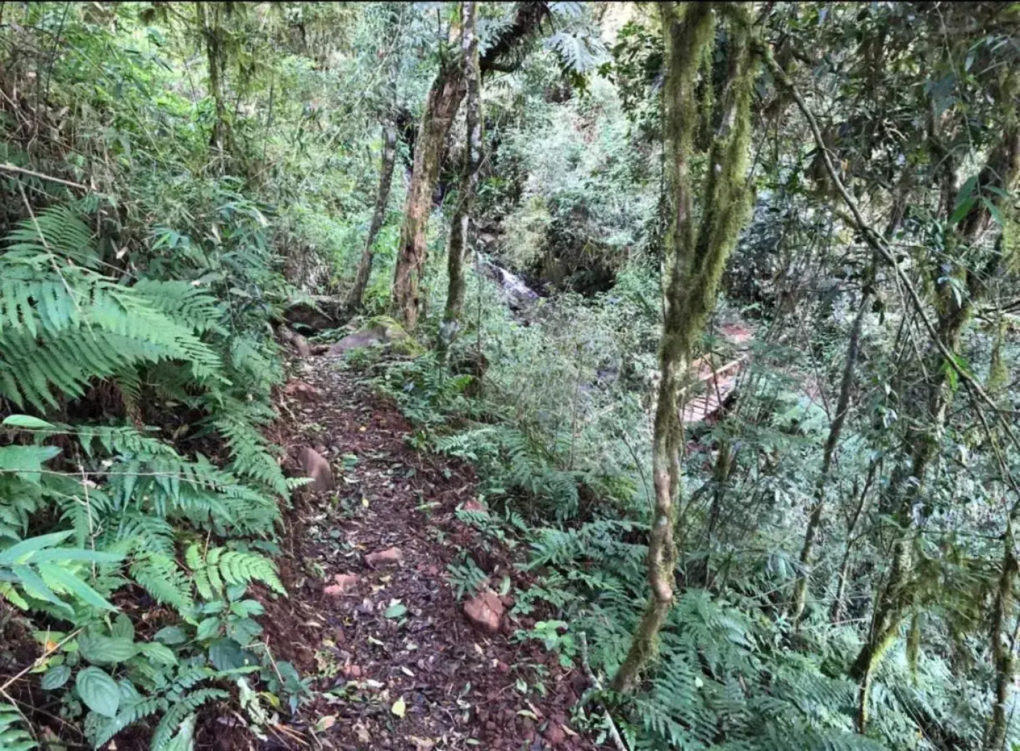 Ecolodge Piedra y Agua