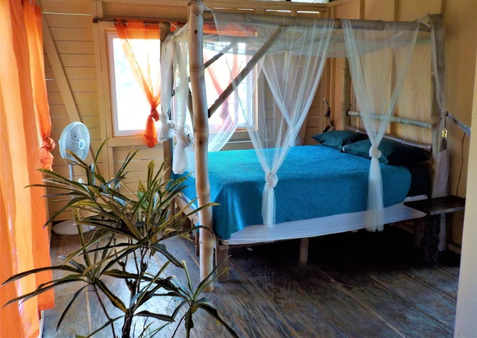 Mosana reef garden B&B