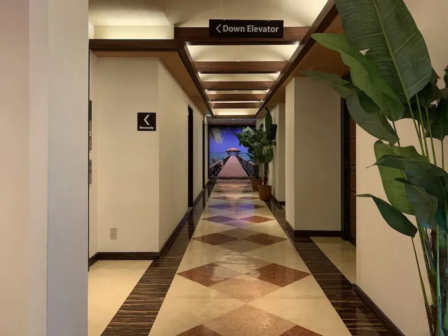 Hotel Palms - Adults Only