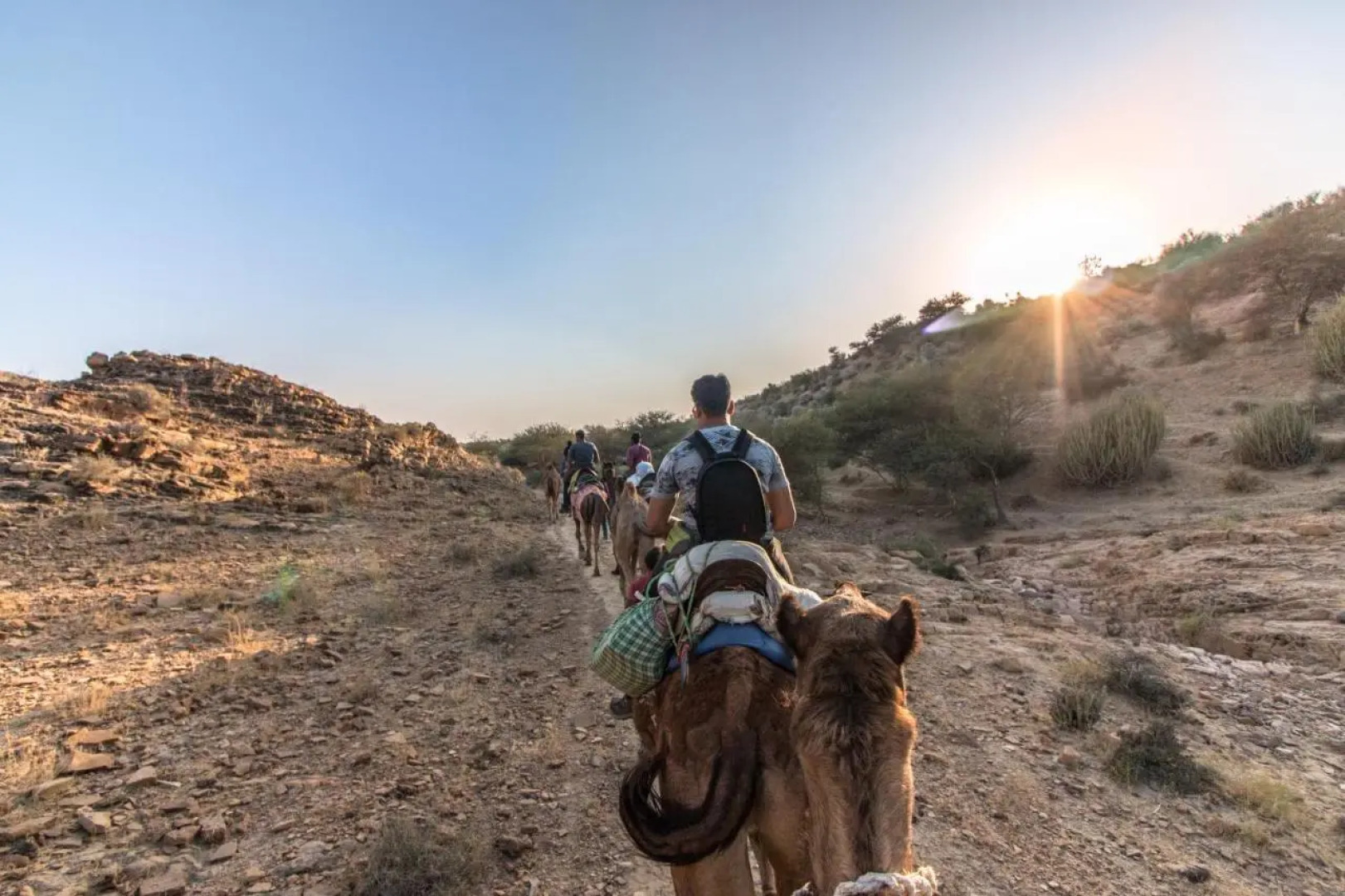Hotel Oasis Haveli - Hostel