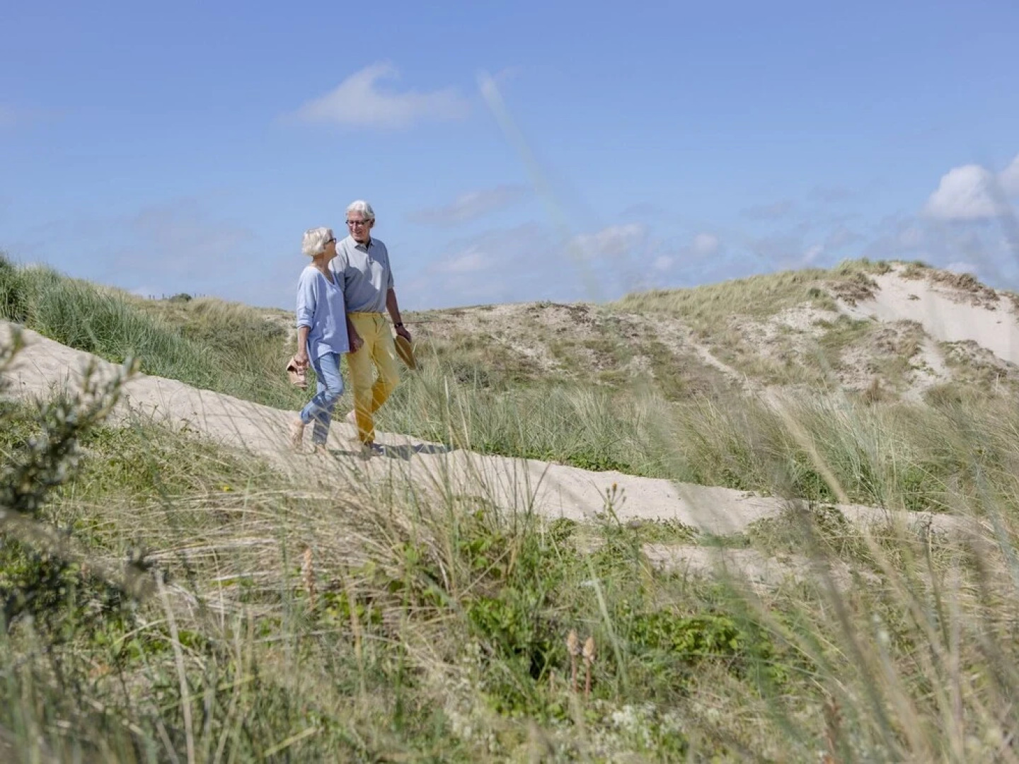 Moder Chalet With a Dishwasher, Behind the Dunes