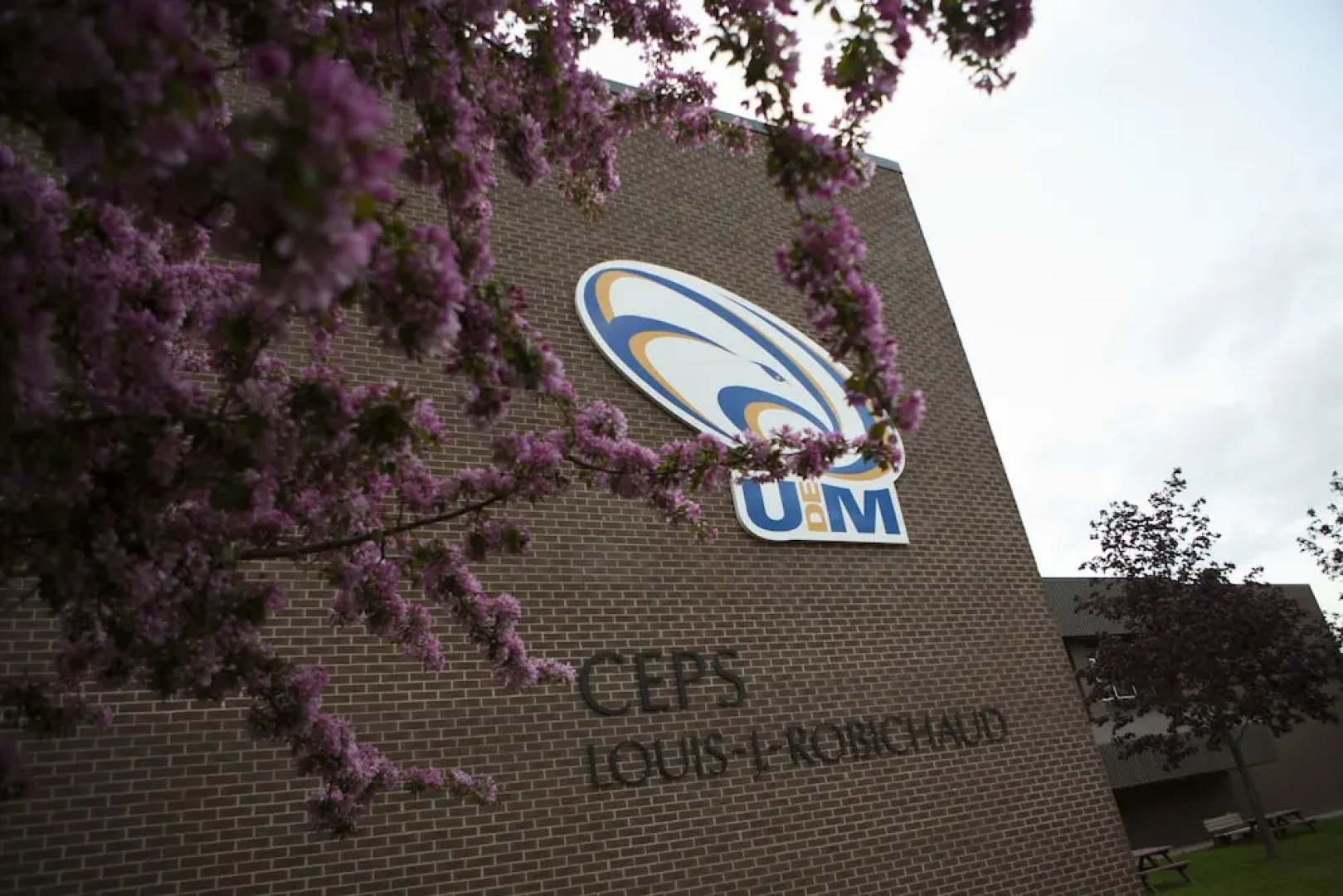 Université de Moncton